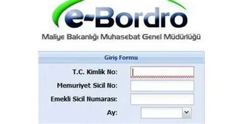 muhasebat giriş.